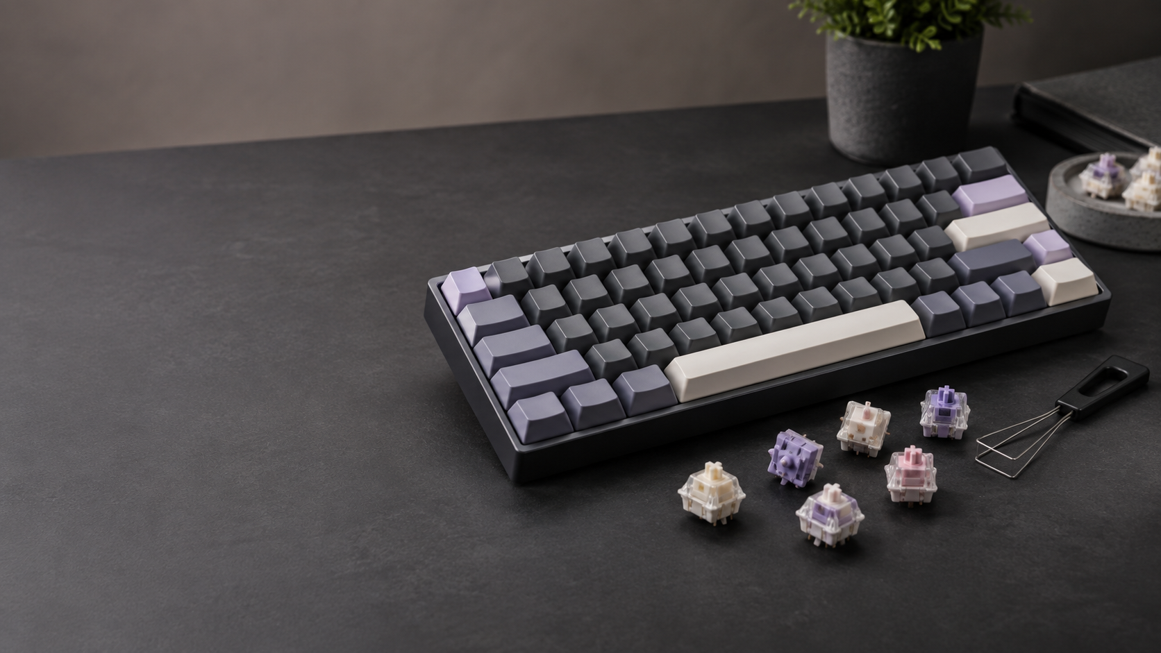 Pre-lubed mechanical keyboard switches beside a compact hot-swap keyboard